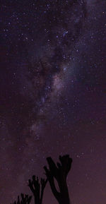 Shadow of man standing against sky at night