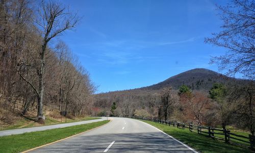 Empty road leading towards trees