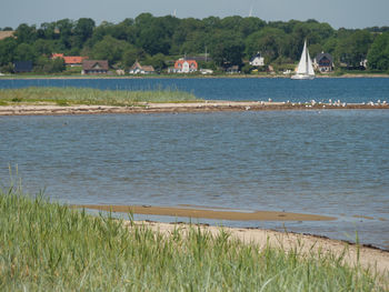 Scenic view of lake against trees