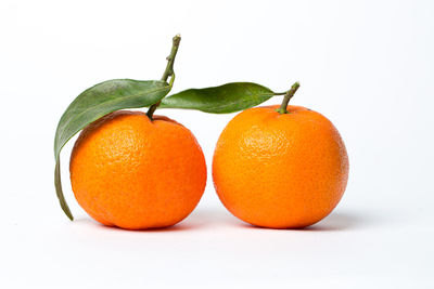 Close-up of orange fruit against white background