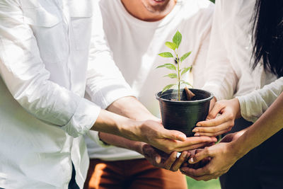 Midsection of couple holding potted plant