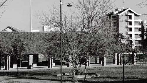 Bare trees against built structure