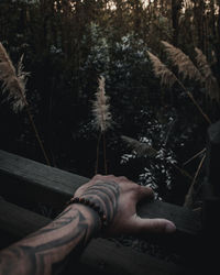 Close-up of man on tree trunk in forest