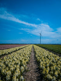 Scenic view of field against blue sky