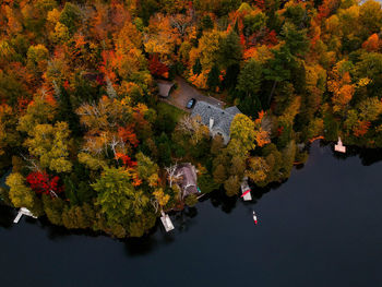 High angle view of trees by lake during autumn