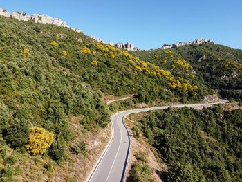 Road amidst plants against sky