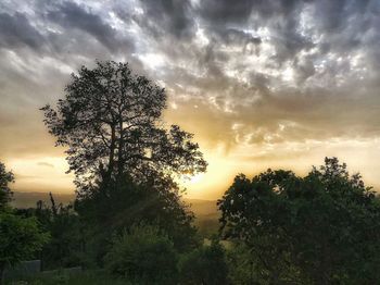 Silhouette trees against sky during sunset