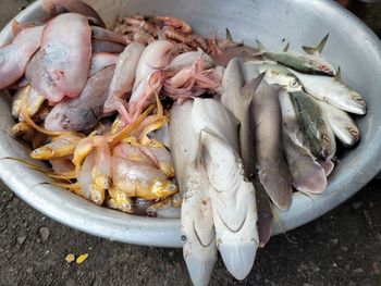 High angle view of fish for sale in market