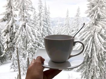 Hand holding plate and white mug against window through which could be seen an evergreen forest