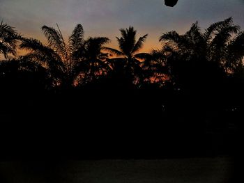 Silhouette palm trees against sky during sunset