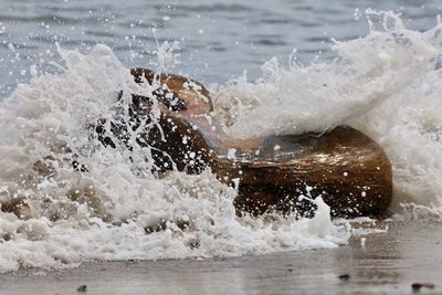 Close-up of splashing water