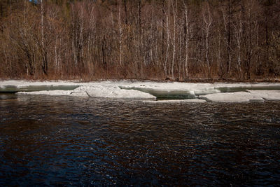 Scenic view of frozen river in forest