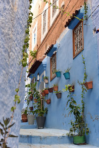 Plants by building
