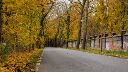 Road amidst trees during autumn