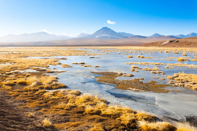 Scenic view of desert against sky