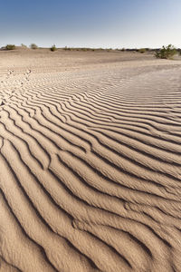 Landscape in the desert in the town of m´hamid