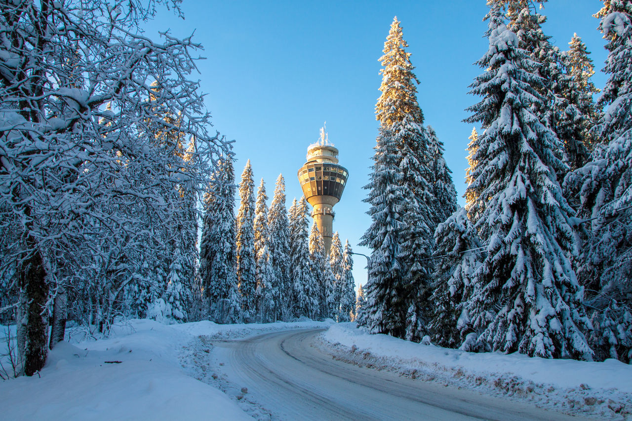 winter, snow, cold temperature, nature, weather, tree, white color, architecture, beauty in nature, outdoors, built structure, no people, clear sky, day, tranquility, scenics, building exterior, travel destinations, sky