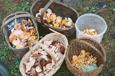 High angle view of mushrooms in basket