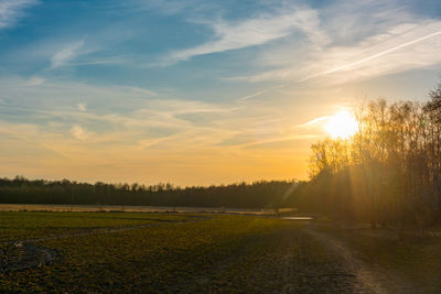 Scenic view of field against sky during sunset