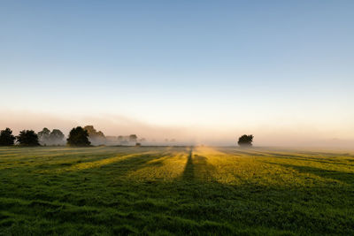 Scenic view of field against clear sky during sunset