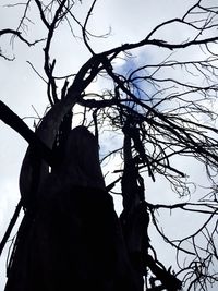 Low angle view of bare tree against sky