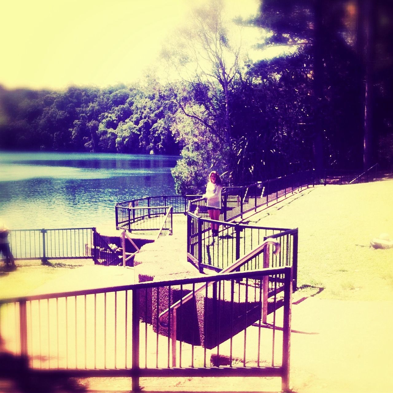 water, tranquility, tree, railing, tranquil scene, nature, absence, empty, lake, scenics, no people, day, beauty in nature, bench, outdoors, sea, sunlight, built structure, sky, branch