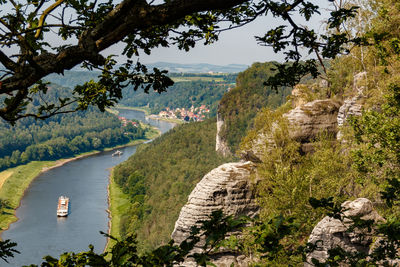 High angle view of trees on landscape