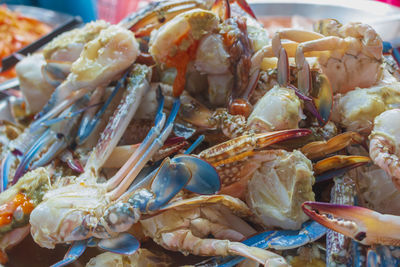 Close-up of crabs