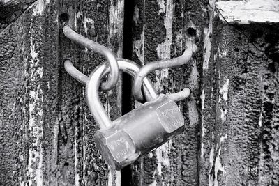 Close-up of padlock on tree trunk