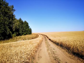 Road amidst agricultural field against clear blue sky