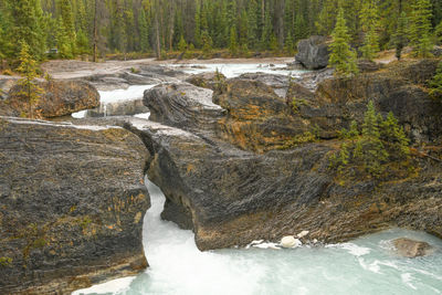 Stream flowing through rocks in forest