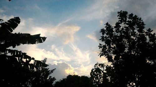 Low angle view of silhouette trees against sky