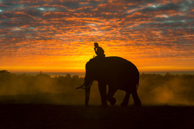 Silhouette horse on field against orange sky