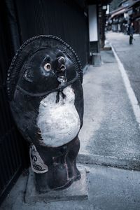 Close-up of owl perching on wall