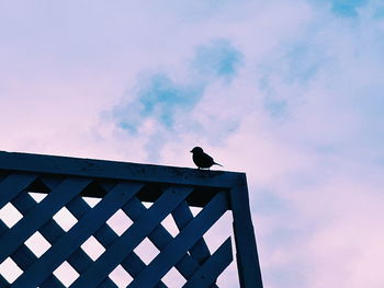Low angle view of bird perching on metal against sky