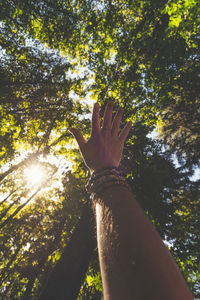 Low angle view of sunlight streaming through tree against bright sun