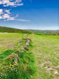 Scenic view of grassy field against sky