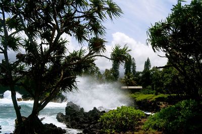 Sea water splashing on coastline