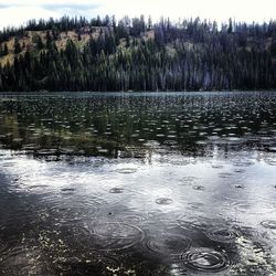 Scenic view of lake