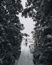 Woman standing by plants in forest