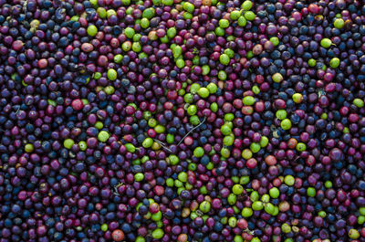 Full frame shot of grapes