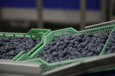 Close-up of blueberries for sale at market stall