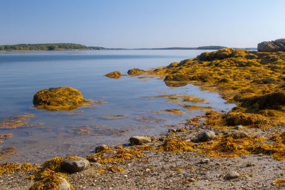 Scenic view of sea against clear sky