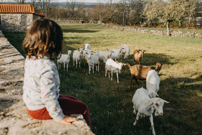 High angle view of woman with horse on field