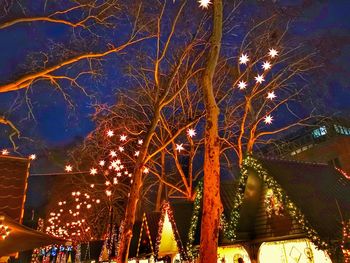 Low angle view of illuminated tree at night