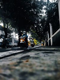 Surface level of road amidst trees in city