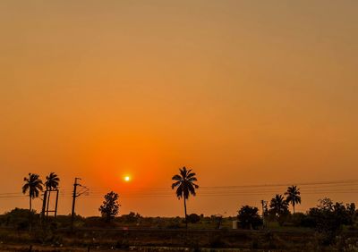 Silhouette palm trees against orange sky