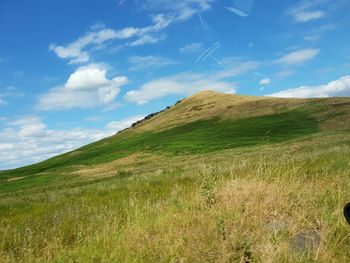 Scenic view of grassy field against sky