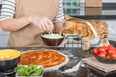 The woman owner and her cat lay out the pizza toppings on the dough.