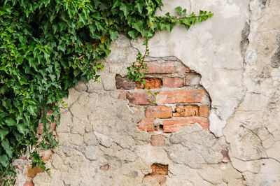 Close-up of stone wall